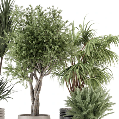 Indoor Plants in Ferm Living Bau Pot Large - Set 817 — Вид 2