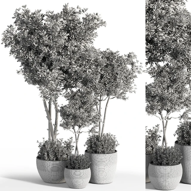 Indoor Plant Set 25 — Descargar
