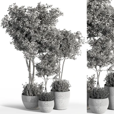 Indoor Plant Set 25 — Ver 2