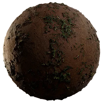 scarce grass on damp soil 006 — Скачать