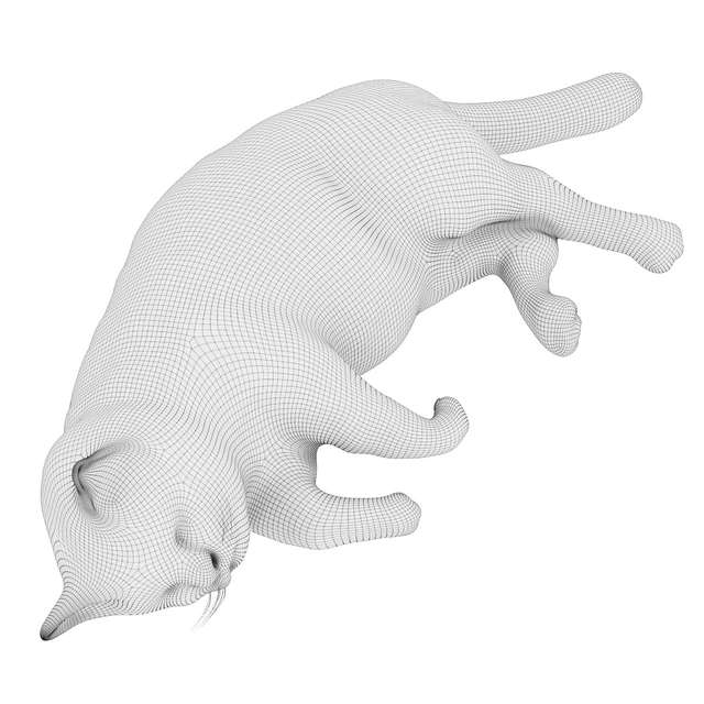 Cat — Download