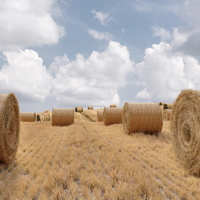 Farm field with hay bale — Descargar