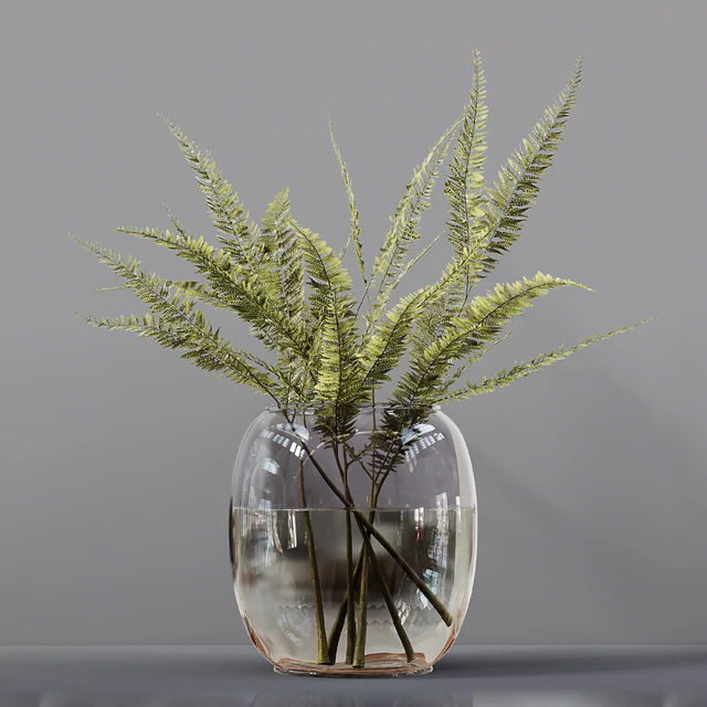 Collection Indoor Plants 03 — Descargar