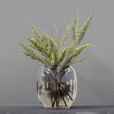 Collection Indoor Plants 03 — Ver 3