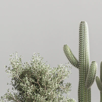 Cactus & plant vol 01 — Ver 3