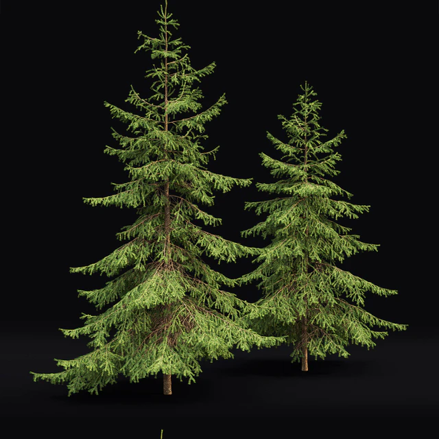 Spruce — Descargar