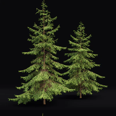 Spruce — Ver 2