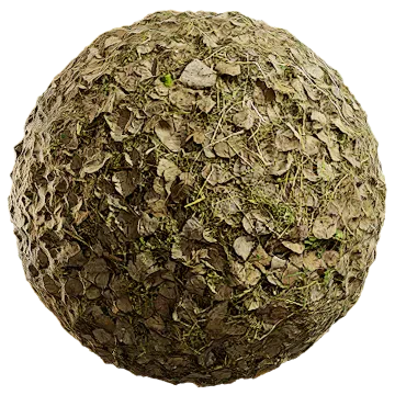 fallen leaves and grass 001 — Descargar