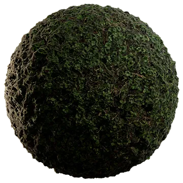 wild grass and weeds 005 — Скачать