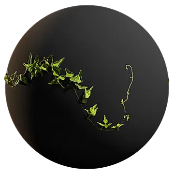 hanging vine 001 — Descargar