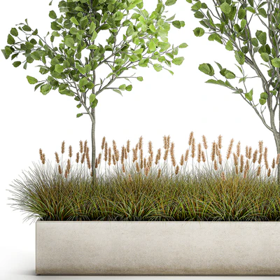 Collection of plants in a pot with hazel, linden and reed trees, bushes. 1066 — Ver 2