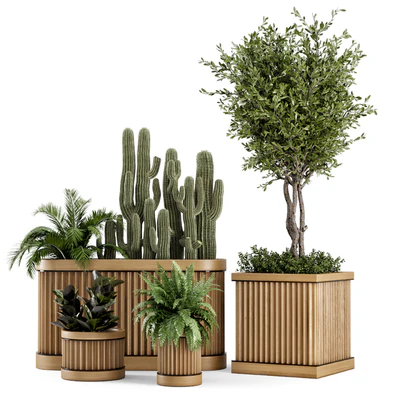 Indoor Plants Bush and Tree in Wooden Pot - Set 401 — Вид 1