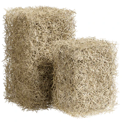 Bales of hay — View 1