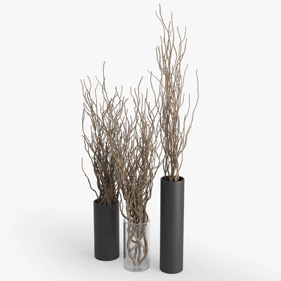 Dry Branch — Ver 2