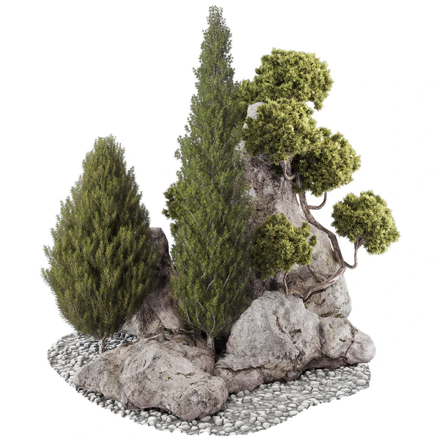 backyard and landscape pine tree garden and rocks 269 — Download