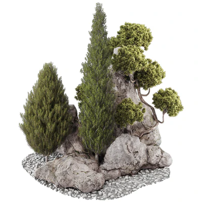 backyard and landscape pine tree garden and rocks 269 — descargar