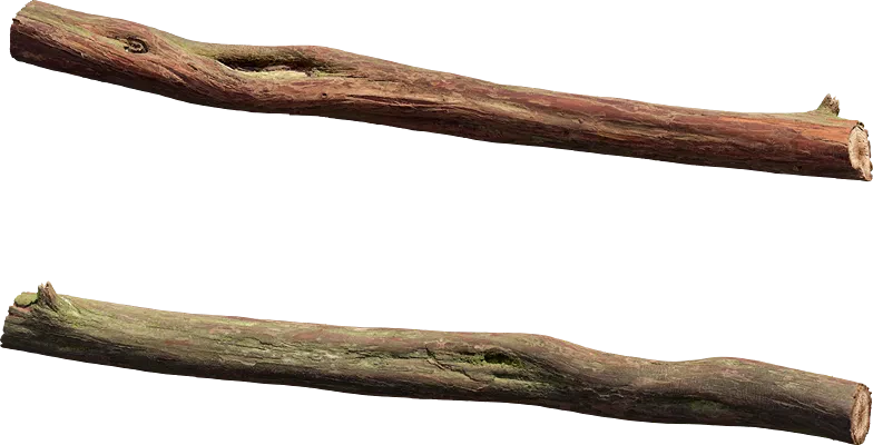 juniper branch 002 — Скачать