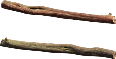 juniper branch 002 — Скачать