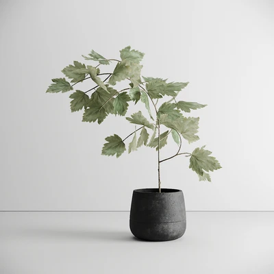 Scandinavian Plant — descargar