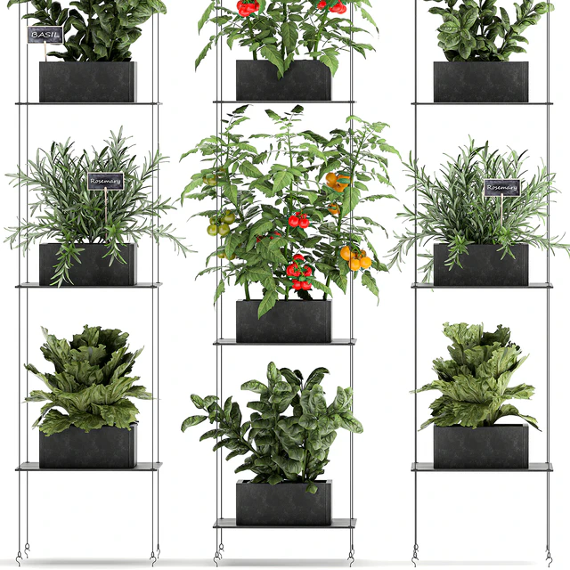 Vertical gardening kitchen garden garden with vegetables, tomatoes, peppers, herbs, lettuce, rosemary. Set 69. — Descargar