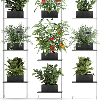 Vertical gardening kitchen garden garden with vegetables, tomatoes, peppers, herbs, lettuce, rosemary. Set 69. — Ver 3