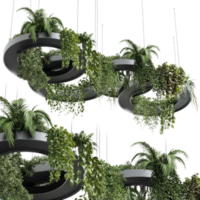 Hanging Plants - Indoor plants 309 — Вид 1