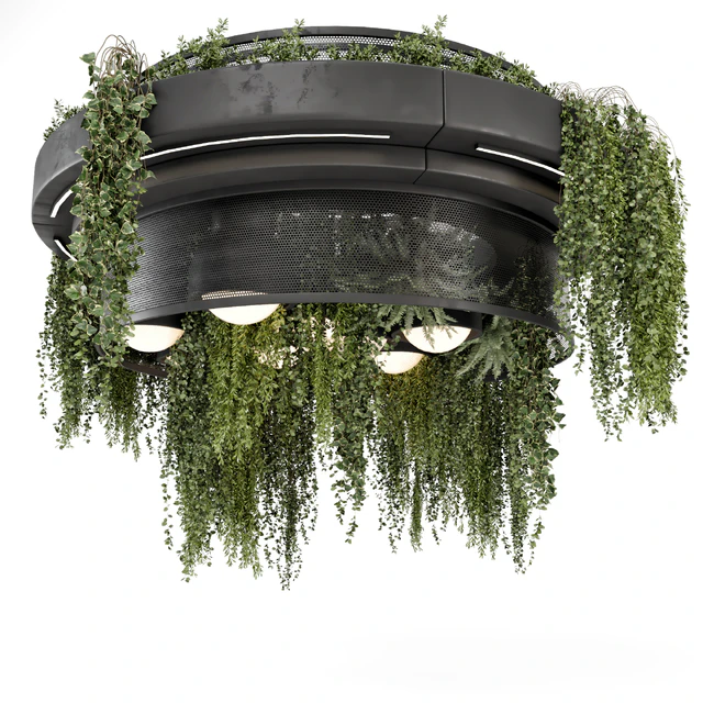 Indoor Hanging Plants in Metal Box - Set 1506 — Descargar