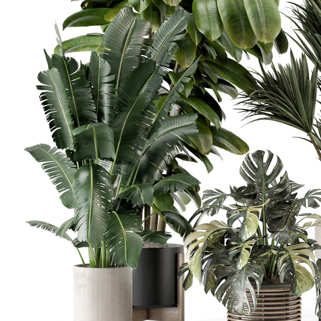 Indoor Plants in Ferm Living Bau Pot Large - Set 1328 — Descargar