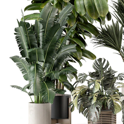 Indoor Plants in Ferm Living Bau Pot Large - Set 1328 — Ver 5