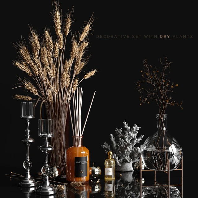 Decorative set with dry plants — Скачать