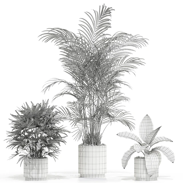 Plants collection 600 — Descargar