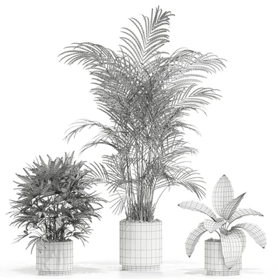 Plants collection 600 — Ver 3