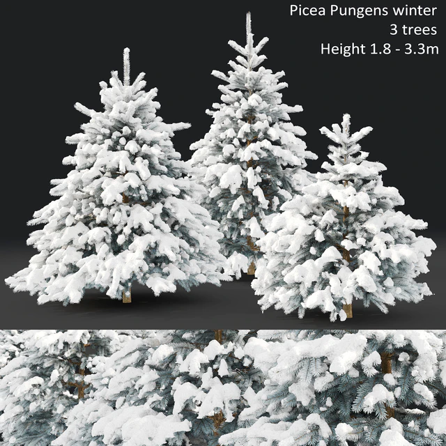 Spruce winter — Скачать