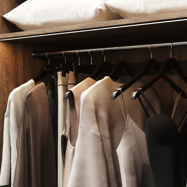 Wardrobe with filling and two front options — Descargar