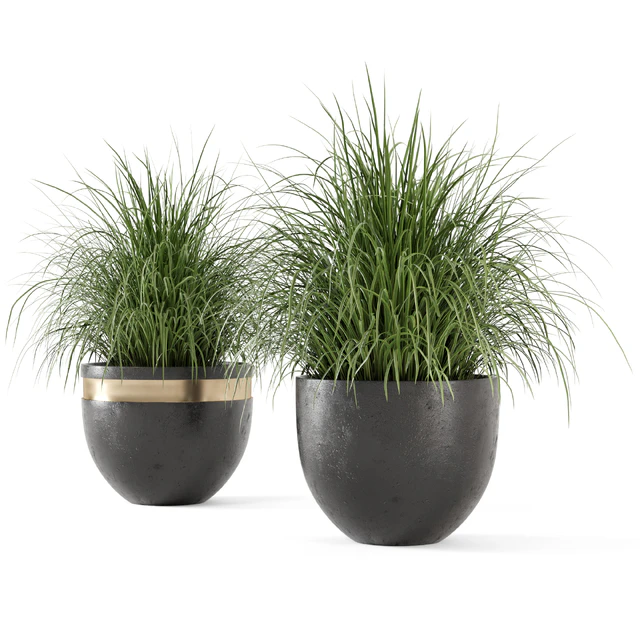 Outdoor Plants Bush  in rusty Concrete Pot - Set 186 — Скачать