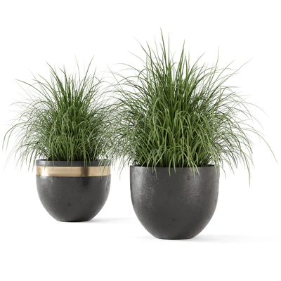 Outdoor Plants Bush  in rusty Concrete Pot - Set 186 — Вид 2