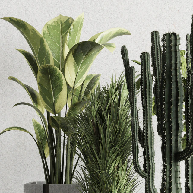 Plant box Indoor outdoor plant 163 wooden and concrete dirt vase box pot palm cactus Collection — Descargar