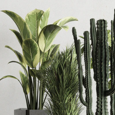Plant box Indoor outdoor plant 163 wooden and concrete dirt vase box pot palm cactus Collection — Ver 2