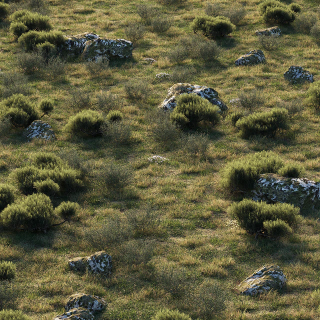 forest landscape — Descargar