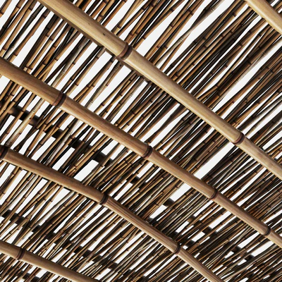 Branch bamboo long low n2 — Ver 4