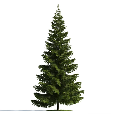 trees 039 — Descargar