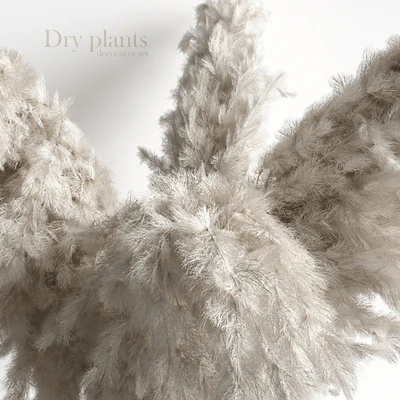 Decorative set with dry plants 4 — Ver 4