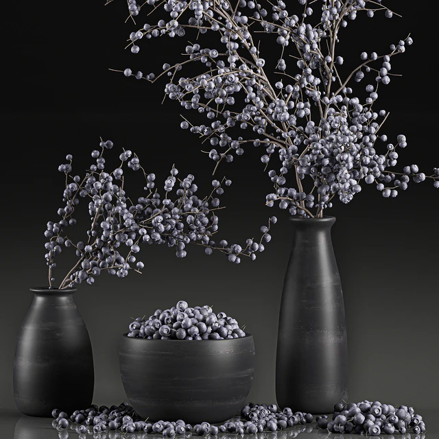 A collection of bouquets of branches with blueberries in black vases with blueberries, a bowl with berries, natural decor. Set 549. — Descargar