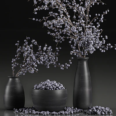 A collection of bouquets of branches with blueberries in black vases with blueberries, a bowl with berries, natural decor. Set 549. — Ver 2