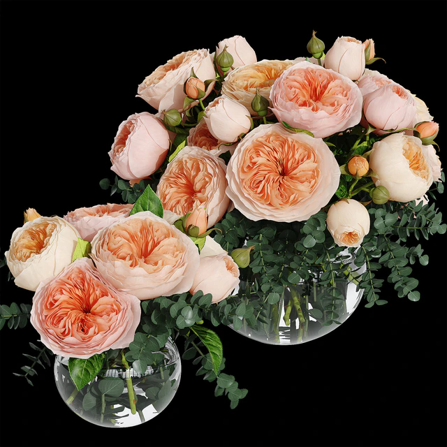 Rosa Juliet — Descargar