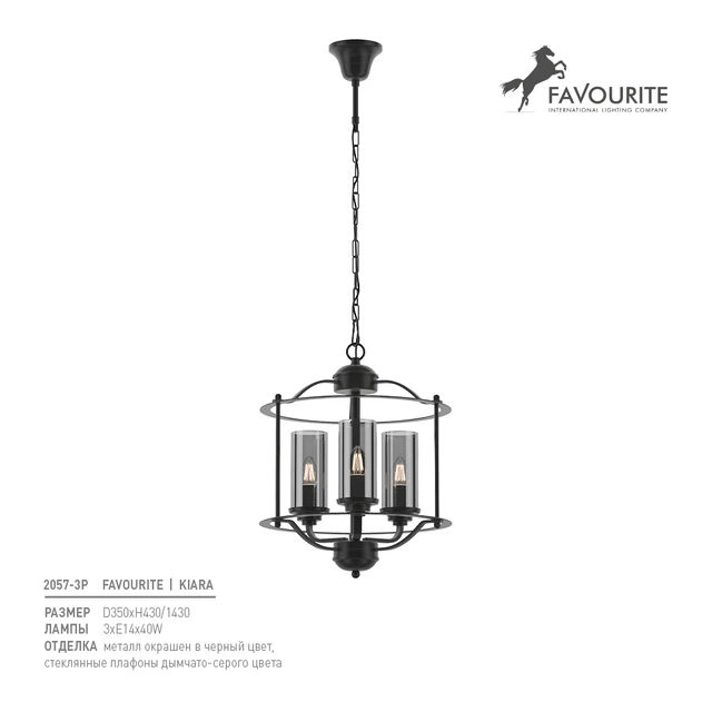 Favorite 2057-3P — Descargar
