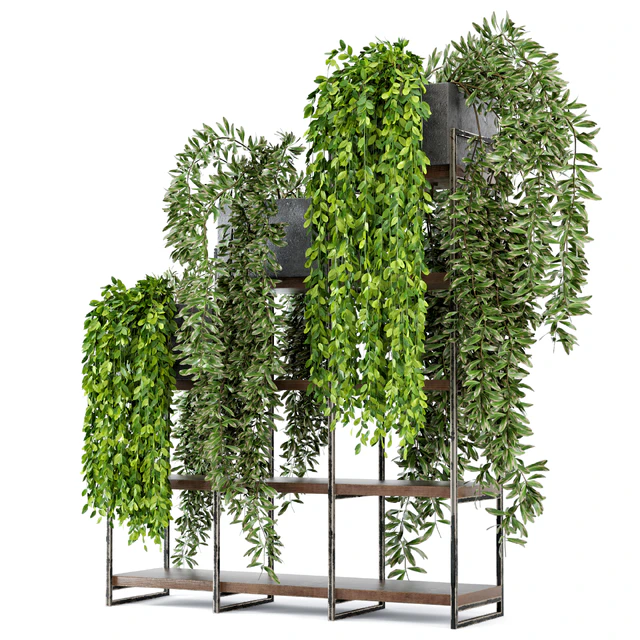 Indoor Plants in rusty Concrete Pot on Metal Shelf  - Set 53 — Скачать