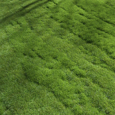 lawn grass — Ver 3