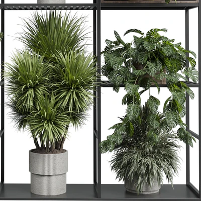 Standing metal shelf with a set of plants in wooden and metal boxes 419 — Вид 2