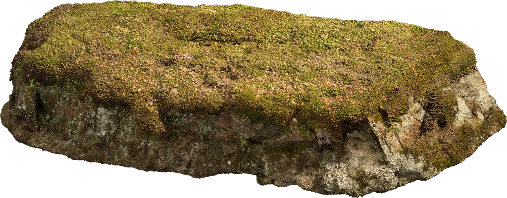 nordic forest ledge rock medium 001 — Скачать